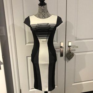 Rina Scimento Dress NWOT